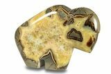Calcite-Filled Polished Septarian Bison - Utah #264596-3
